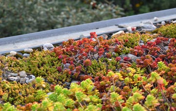 the cost of Simonsbath green roof installation