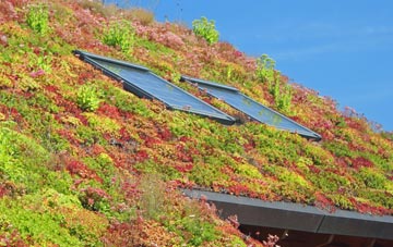 Simonsbath living roof systems